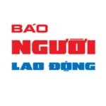 báo người lao động -nld.com.vn android application logo